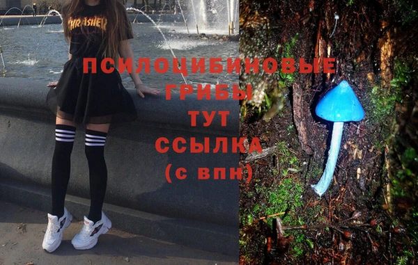 прущая мука Богородск