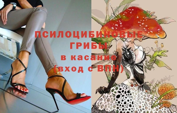спайс Богородицк