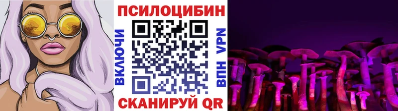 Псилоцибиновые грибы Magic Shrooms  hydra вход  сайты даркнета какой сайт  купить  цена  Володарск 
